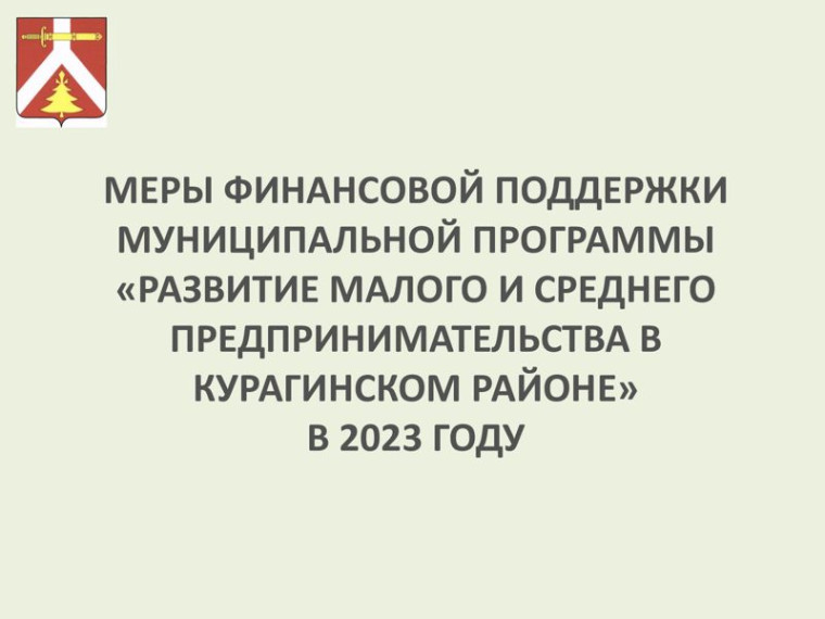 Меры финансовой поддержки в 2023 г.. Меры финансовой поддержки в 2023 г..